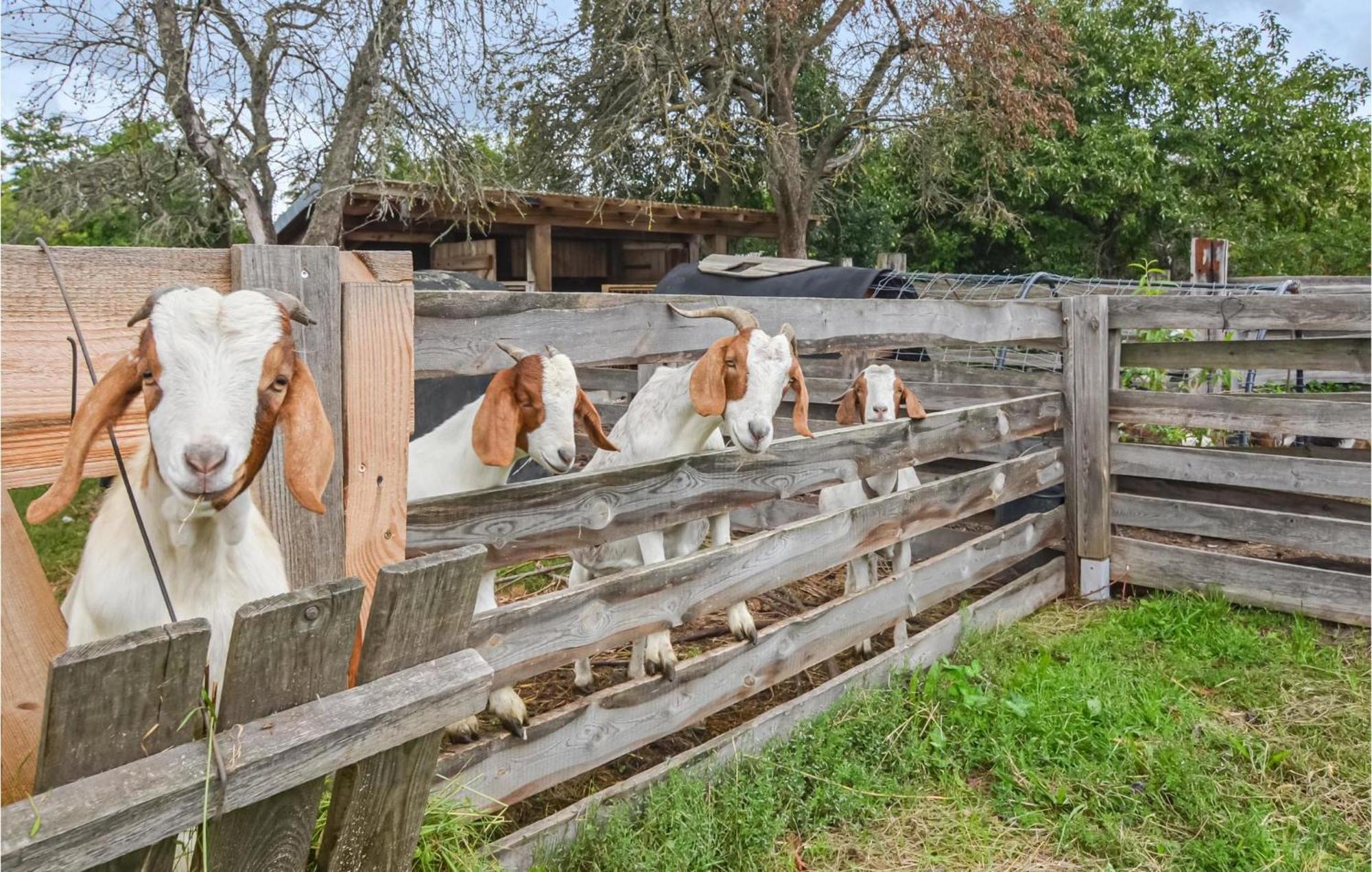 Lovely Home In Heideblick With Kitchen Langengrassau Εξωτερικό φωτογραφία
